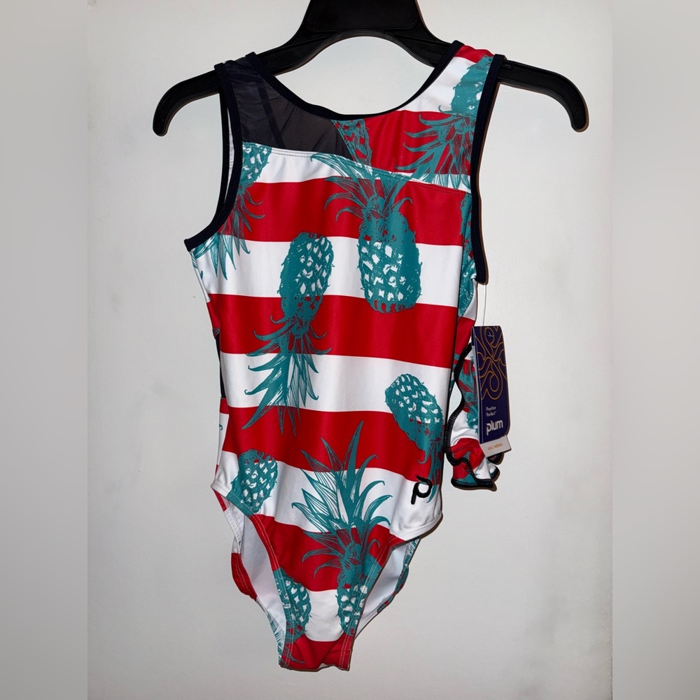 Striped Pineapple Print Leotard - Red and Teal